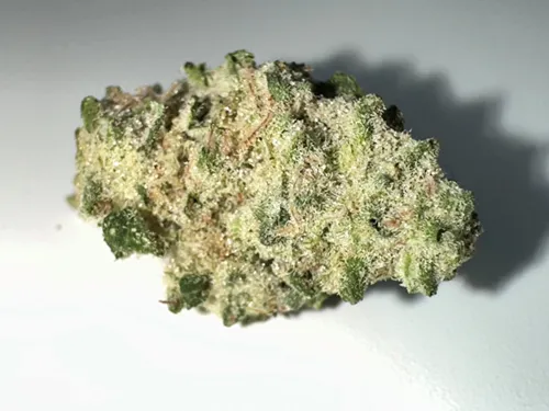 Product image of Grape Kush - Elevator - Dried Flower