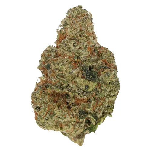 Product image of Sherbadough - Carmel - Dried Flower
