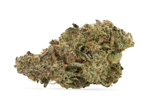 Blackout Bobby - Pistol and Paris - Dried Flower