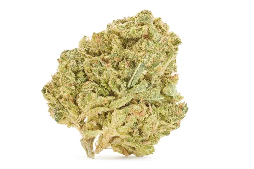 Inzane in the Membrane - Good Supply - Dried Flower