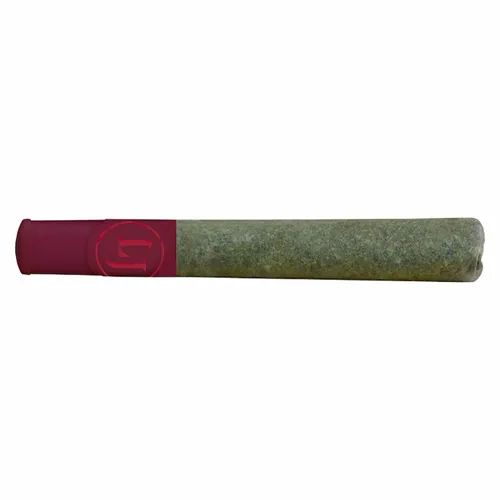 Snow Lotus x Animal Mints - Lord Jones - Infused Joints