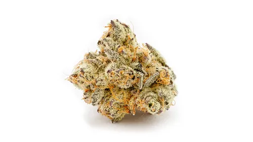Platinum Grape - Organnicraft - Dried Flower