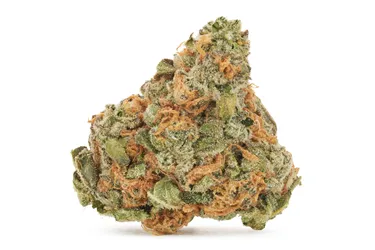 Product image of Blueberry Dream - Big Bag O' Buds - Dried Flower