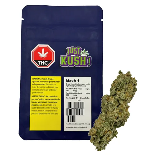 Mach 1 - Just Kush - Dried Flower