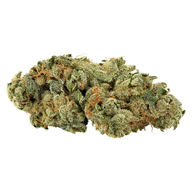 Product image of Tropical Cookies - Big Bag O' Buds - Dried Flower