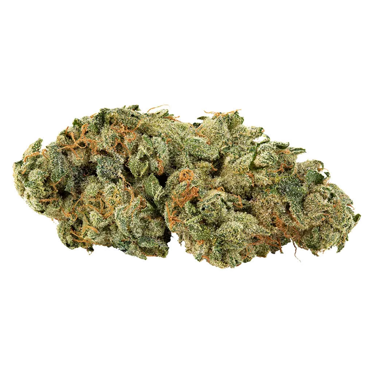 Product image of Tropical Cookies - Big Bag O' Buds - Dried Flower