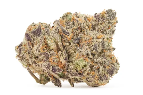 Product image of Power Nap - BC Oz - Dried Flower