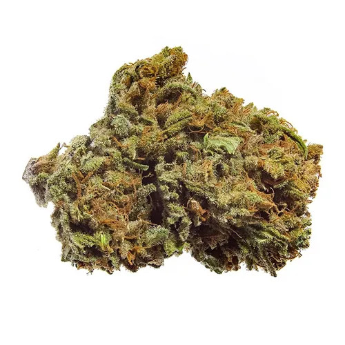 Product image of BC Organic Charlotte CBD - Simply Bare - Dried Flower