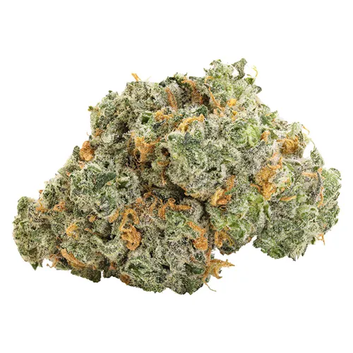 Blueberry Dream - Big Bag O' Buds - Dried Flower