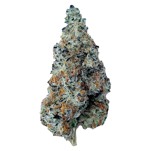 Product image of Slurriboof - The Florist - Dried Flower