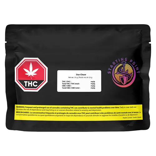 Star Chase - Starting Point! - Dried Flower