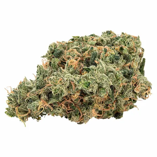 Ultra Jean-G - Holy Mountain - Dried Flower