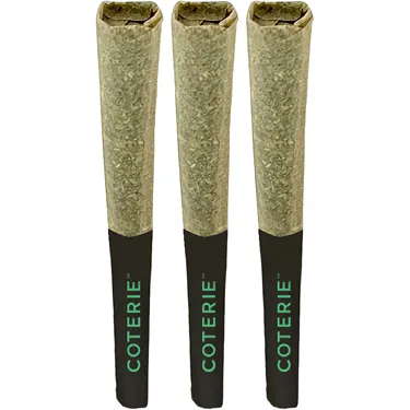 Product image of Grape Gotti #12 - Coterie - Joints