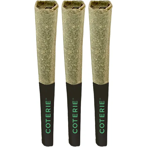 Product image of Grape Gotti #12 - Coterie - Joints