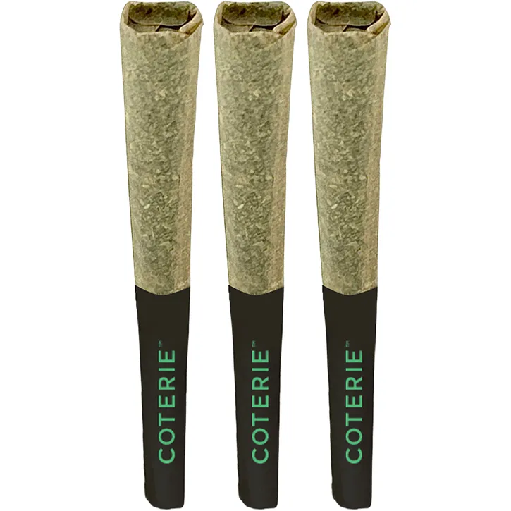 Product image of Grape Gotti #12 - Coterie - Joints