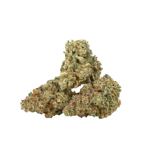 Alien Jelly - Fresh - Dried Flower