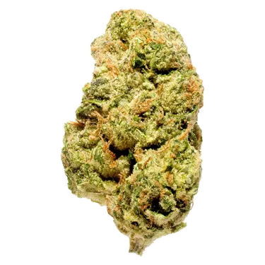 Product image of Blanh Indica - Bleuh - Dried Flower