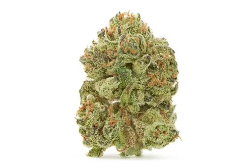 Early Lemon Berry - Nugz - Dried Flower