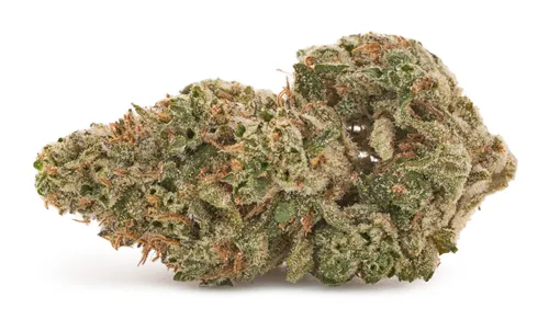 Product image of Cuban Linx - Tribal - Dried Flower