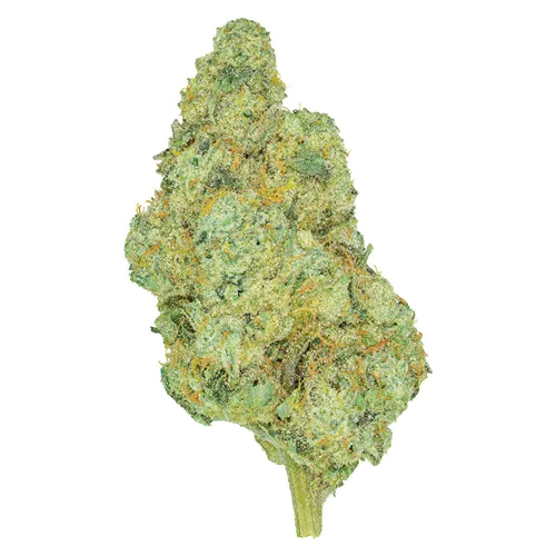 Rotational - San Rafael '71 - Dried Flower