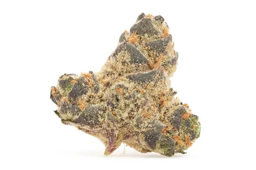 Product image of Kadillac Rainbow - The Kitchen - Dried Flower