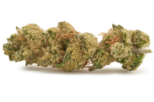 GMO Cookies - Spinach - Dried Flower