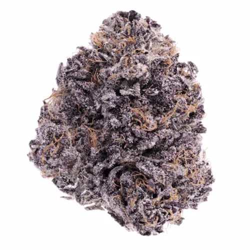 Product image of Purple Pie - Canaca - Dried Flower
