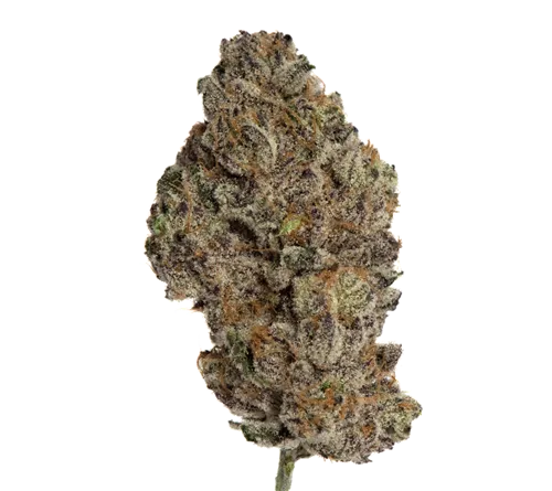 Strawberry Froyo - Island Genetics - Dried Flower