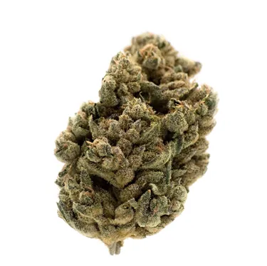 Product image of Jungl' Cake - MTL Cannabis - Dried Flower