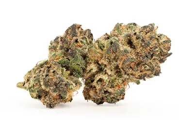 Product image of Cherry Pop Tartz - Good & Baked - Dried Flower