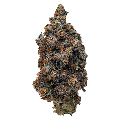 Product image of Interstellar Stash - Rocket Factory - Dried Flower