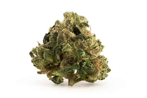 Product image of Dark Moon Smalls - BC Smalls - Dried Flower