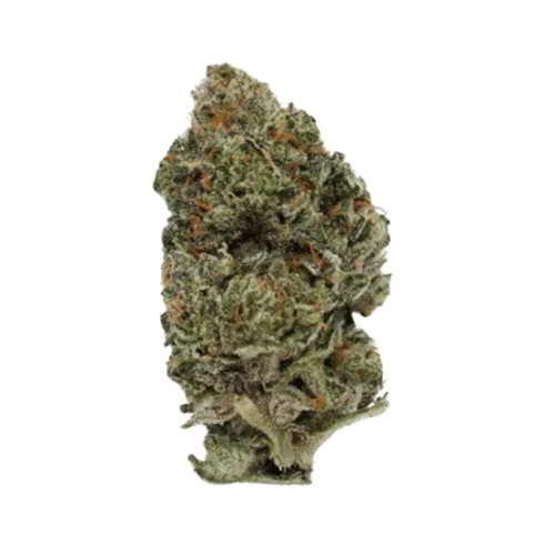 Product image of Kyrptochronic - Kief Cannabis - Dried Flower