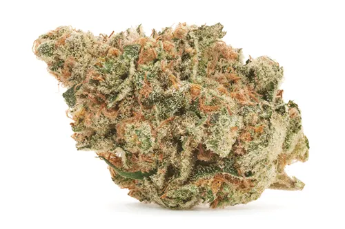 Product image of Pheno Hunters Dream Rotational - Salt Spring Magic - Dried Flower