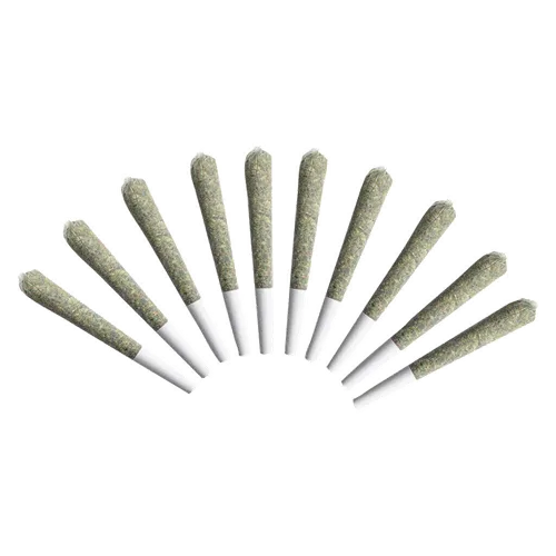 Hawaiian Snow - Choklit Park - Joints