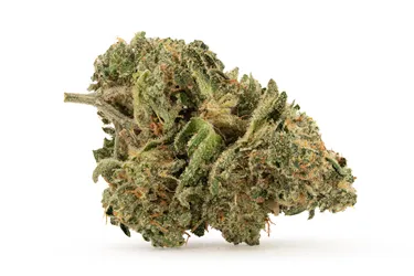 Product image of Z-OG - Er'What - Dried Flower