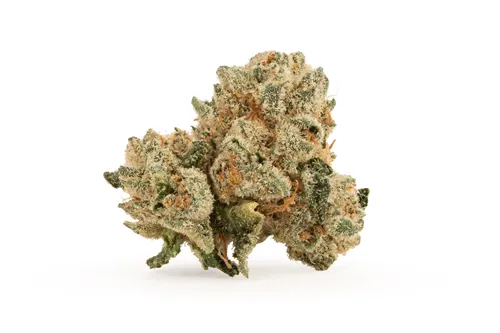 Product image of Ripped Sativa - Ripped - Dried Flower