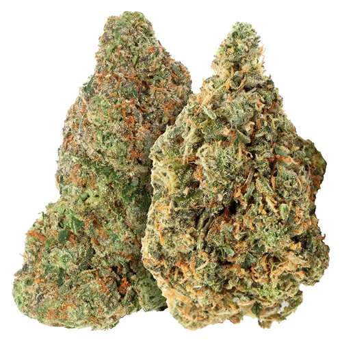 Two Pack: Bubblegum Marker & Red Bullz - Carmel - Dried Flower