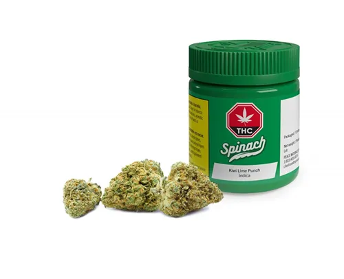 Product image of Kiwi Lime Punch - Spinach - Dried Flower