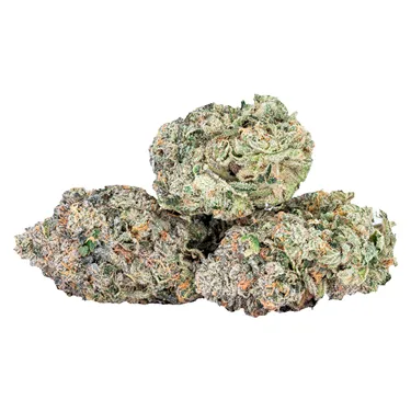 Product image of EXPO67 - Sixty Seven Sins - Dried Flower