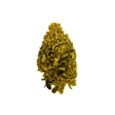 Product image of Rntz Muffin - Mythos - Dried Flower