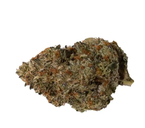 Product image of Blueberry Fuego - Next Friday - Dried Flower