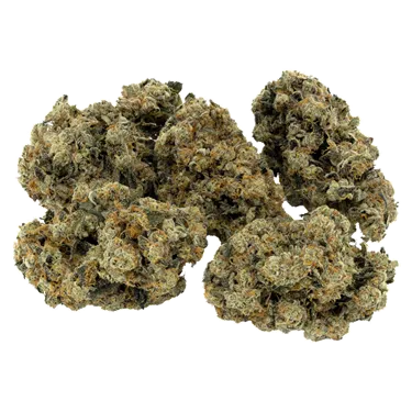 Product image of Rotating Payload - Woody Nelson - Dried Flower