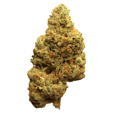 Product image of Ghost Banner - Dom Jackson - Joints