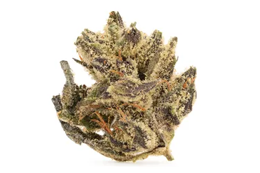 Product image of Purple Truffle Smalls - Papa Joe's Organics - Dried Flower