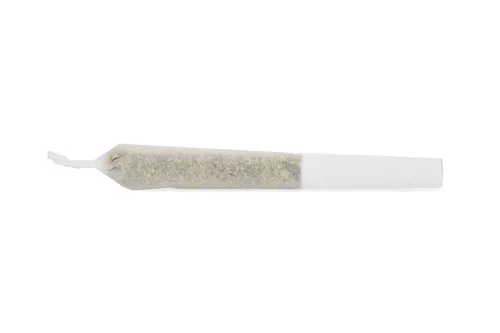 Comatose Resin Infused - 1964 - Infused Joints