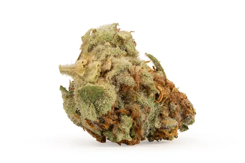 Product image of KQ Jager - Kootenay Quantum - Dried Flower