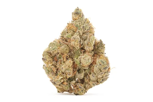 Product image of Platinum Pop Rocks - Sitka Legends - Dried Flower