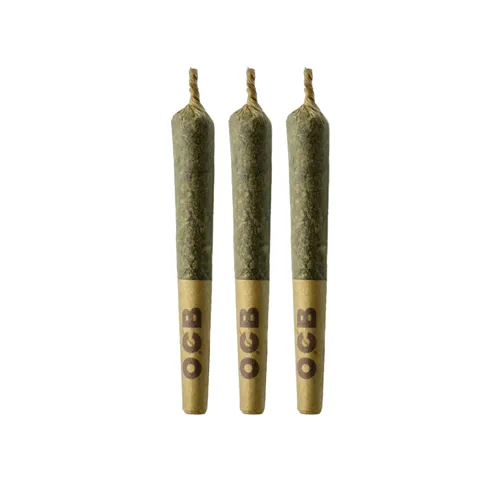 Frosted Fruit Cake - Coterie - Joints