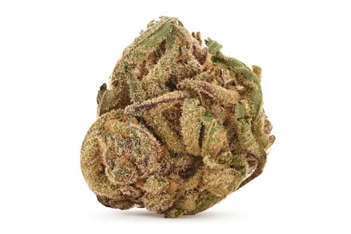 Product image of BC Purple Kush - Versus - Dried Flower